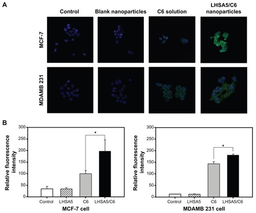 Figure 8 In vitro cellular uptake of coumarin 6.Notes: The cellular uptake was observed by (A) CLSM and (B) FACS in MCF-7 and MDAMB 231 cells after incubating for 2 hours. Merged images composed of coumarin 6 (green color) and DAPI (blue color) are shown. Groups were as follows: control, blank LHSA5 nanoparticles, coumarin 6 solution, coumarin 6-loaded LHSA5 nanoparticles. *P<0.05, between two groups.Abbreviations: FACS, fluorescence-activated cell sorter; CLSM, confocal laser scanning microscope; LHSA, LMWH-SA; LMWH, low-molecular-weight heparin; SA, stearylamine.