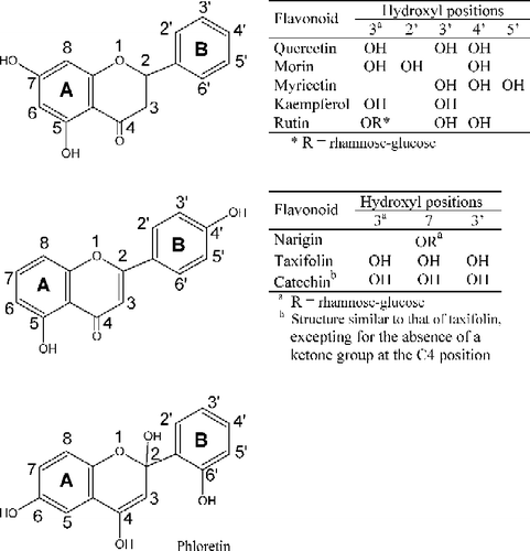 Figure 1 Structures of the flavonoids. The hydroxyl substituents are shown on the carbon atoms of the rings A and B for each flavonoid.