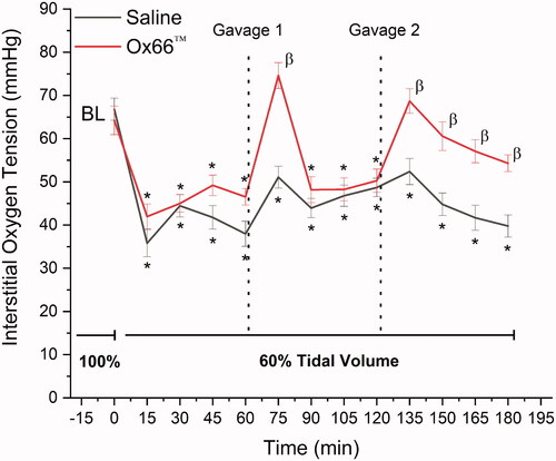 Figure 1. Oxygen delivery to the spinotrapezius muscle. Measurements were collected at 15 min intervals. Baseline (BL) followed stabilization from surgery and was collected during normal breathing. Hypoventilation (60% tidal volume with normal breath rate) was then initiated and maintained for the duration of the experiment. The first gavage occurred following the 60 min measurement and the second after 120 min as demarcated by the dotted lines. Of note, the second Ox66™ gavage had a longer duration of impact on oxygen delivery than the first, but both produced significant PISFO2 responses within 15 min of treatment.Data are mean ± SEM; N = 26 sites/group.*Indicates p<.05 compared to BL.β Indicates p<.05 between groups.