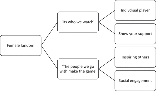 Figure 1. Higher and lower order themes identified from fan perspective.