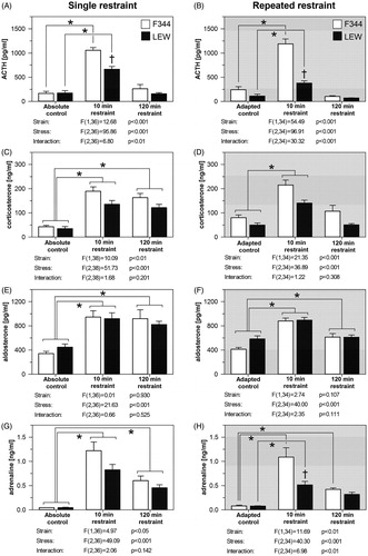 Figure 4. The effect of single and repeated restraint on the plasma hormone levels in F344 and LEW rats. Adrenocorticotropic hormone (ACTH; A, B), corticosterone (C, D), aldosterone (E, F), and adrenaline (G, H) in single (left panels) and repeated (right panels) restraint protocol. Results are expressed as group means ± SEM; n = 6–8 for F344 rats, n = 7–8 for LEW rats. Plasma hormone levels were analyzed using two-way ANOVA with the main effects of strain (LEW vs. F344 rats) and stress (stress-naive vs. 10 min restraint or 120 min restraint), the results are listed below each graph. Bonferroni post hoc test was performed, *p < .05 versus respective control group, †p < .05 F344 versus LEW rats.