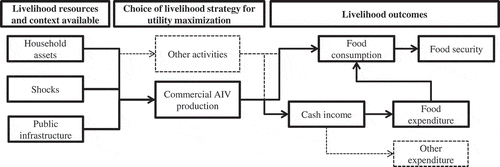 Figure 1. Process to adopt commercial AIV production and its influence on livelihood outcomes.Note: Source: own construction based on (DFID, Citation1999; Hartje, Bühler, & Grote, Citation2018; Scoones, Citation1998).