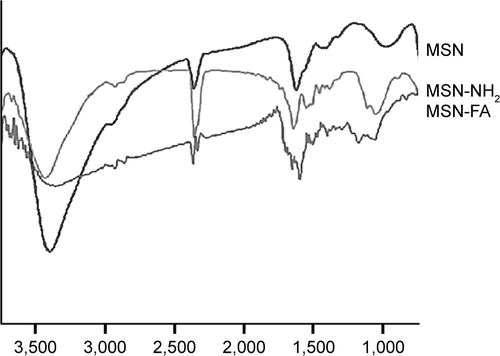 Figure S1 FTIR spectra of MSN, MSN-NH2 and MSN-FA.Abbreviations: FTIR, Fourier transform infrared; MSNs, mesoporous silica nanoparticles; MSN-NH2, mesoporous silica nanoparticles bonded with amide group; MSN-FA, mesoporous silica nanoparticles bonded with folic acid.