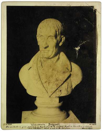 Figure 1. Vincenzo Briganti. Vincenzo [or Vincenzio] Briganti (1766–1836). Unedited photo by Iconoteca dei Botanici, Library of Orto Botanico, Università degli Studi di Padova. Arrangement: IB.NN.26