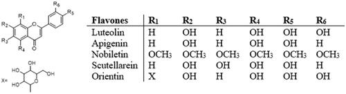 Figure 4. Structures of flavones.