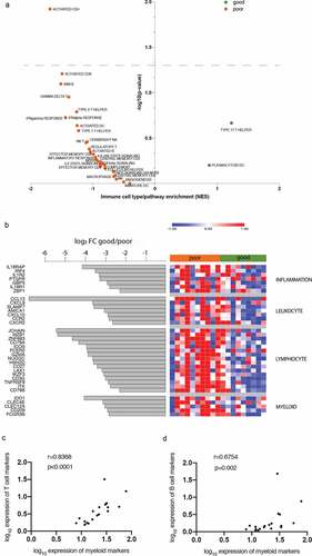 Figure 1. Immune gene families are enriched in poor prognosis patients. (a) Plot showing the enrichment of immune cell types and immune signaling pathways in good prognosis patients (green, n = 10) and poor prognosis patients (orange, n = 9) calculated based on Normalized enrichment score (NES) from the GSEA and the – log10(p-value) for each of the families tested. (b) Heatmap showing the Z score of immune candidates differentially expressed (FDR≤0.15) between good prognosis (green bar) and poor prognosis (orange bar) patients, grouped by immune gene families. The waterfall graph shows the log2 fold change in expression between good prognosis and poor prognosis patients for each gene. (c) and (d) Spearman correlation between log10 (1+ average normalized counts per million) of T cell markers (CD3E, CD3G, CD3D, CD274) and myeloid markers (IDO1, ITGAM) (c), B cell markers (BLK, CD19, CD79A, CD79B, FCER2, FCRLA, JCHAIN, MS4A1) and myeloid markers (d).