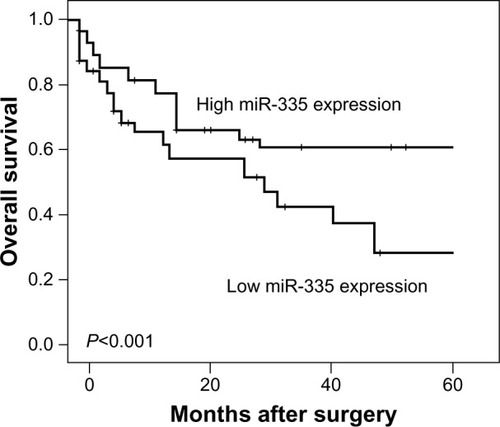 Figure 1 Kaplan–Meier curves for survival time in patients with primary gallbladder carcinoma divided according to miR-335 expression. Abbreviation: miR, microRNA.