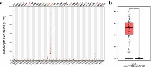 Figure 1. SPNS3 high expressed in acute myeloid leukemia (AML). a. Pan-cancer analysis showed that the average SPNS3 expression was highest in AML; b. Compared to normal tissues, SPNS3 expression significantly increased in AML