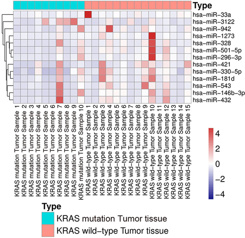 Figure 4 Heatmap of miRNA expression differences between KRAS-mutant tumor tissue and KRAS wild-type tumor tissue.