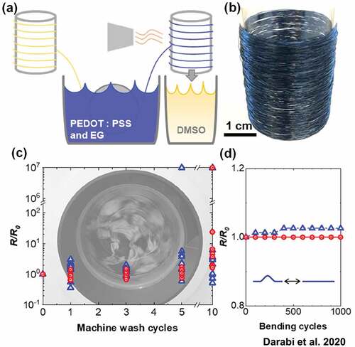 Figure 6. Features of Ag nanowire/pedot:pss-coated conductive silk yarns fabricated by using a roll-to-roll process. (a) Schematic description of roll-to-roll production process for PEDOT:PSS/AgNW-coated cellulose yarn and (b) photo of produced fiber. Change in the resistance of PEDOT:PSS/AgNW-coated cellulose yarn as a function of the number of (c) machine-washing cycles and (d) bending cycles. R0 is the initial resistance before testing, and R is the resistance measured after the washing/bending/tensile tests. Reproduced with permission from ref. (Darabi et al. Citation2020).