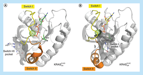 Figure 1. Switch regions and druggable sites of KRAS.Overview of the overall structure of KRAS highlighting the switch I (yellow) and switch II regions (orange). The respective switch pockets are shown with surface representation around the ligand-binding sites. (A) Ribbon plot of KRASG12D in the active conformation. The switch I/II region is highlighted around BI-2852 (PDB ID: 6GJ8). (B) Ribbon plot of KRASG12C in the inactive conformation with an acrylamide ligand covalently bound to amino acid G12C in the switch II pocket (PDB ID: 4M22).PDB: Protein Data Bank.