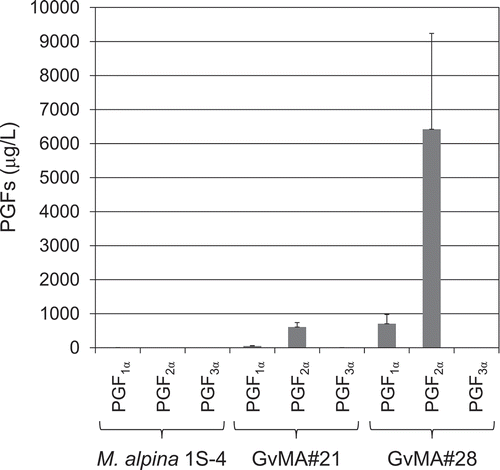 Figure 6. Fermentative extracellular production of prostaglandins F1α, F2α, and F3α in the parental (M. alpina 1S-4) and transformant (GvMA#21 and GvMA#28) strains.