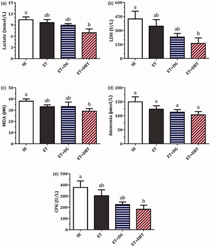 Figure 4. Effects of exercise training and herbal extract supplementation on serum (a) lactate (b) LDH, (c) MDA, (d) ammonia, and (e) CPK. Values are presented as mean ± SEM for n = 10 rats. Columns with different letters (a, b, c) are significantly different at p < 0.05.