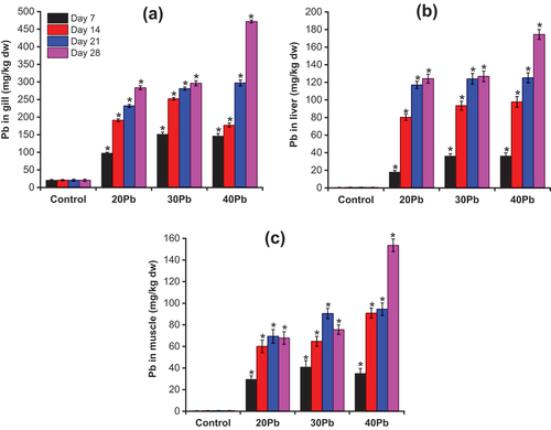 Figure 1. The accumulation of Pb in Anabas testudineus tissues during exposure period (Mean ± SD, n = 3 and *significantly different (p < 0.05) between Pb-exposed fish and control fish).