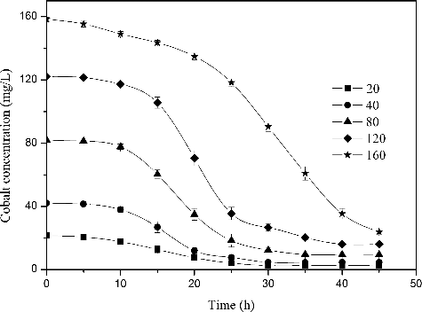 Figure 6. Removal of different concentrations of Co2+ by R. palustris, pH 6.5, 30 °C and aerobic condition in darkness. The error bars represent the standard deviation at n = 3.