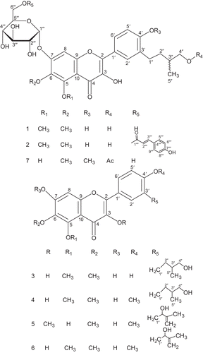Figure 1.  Structures of flavonoids 1–7.