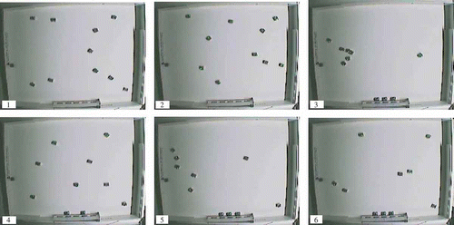 Figure 7. Experimental run for the ‘not-knowing’ strategy, with 10 robots. First, the robots execute regular work (1), until Th hungry is exceeded and all the robots ‘become hungry’ (2). Eventually, all recharging slots are occupied and the rest of the swarm clusters around the waiting station (3). Some robots have recharged and the waiting ones again seek a slot (4). As slots are re-occupied, the ‘hungry’ robots again collect at the buffer zone (5). This sequence cycles until some of the robots ‘die’ while waiting or searching (6).