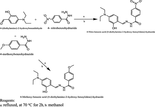 Scheme 1. Synthetic pathway for L1 and L2.