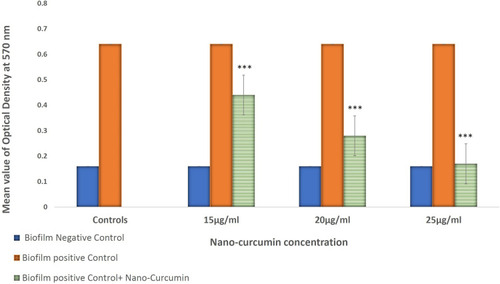 Figure 2 Inhibition of biofilm formation in P. aeruginosa 10145 in the absence and presence of 15, 20, and 25 µg/mL Nano-Curcumin. (***P value < 0.001). The error bar represents SD in five repeated experiments.
