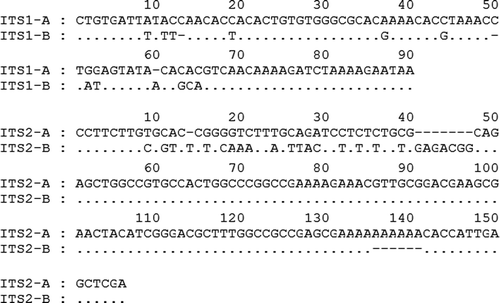 Figure 2. Sequence alignments of the different ITS types within the genome of Pichia membranifaciens strain CBS 215. At a given position, a nucleotide identical to that in the upper line is indicated by a dot, a gap is indicated by a hyphen.