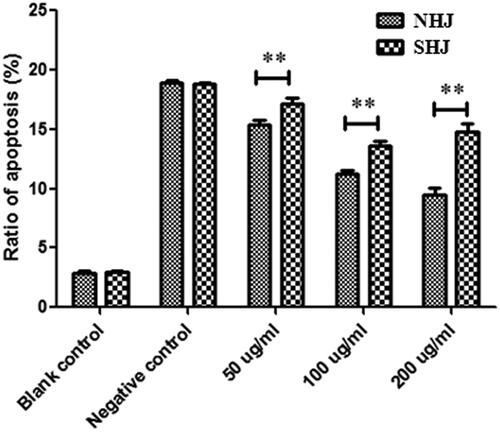 Figure 4. NHJ and SHJ influence apoptosis of ox-LDL-treated HUVECs. NHJ was more effective at inhibiting apoptosis than SHJ at the same dose. **p < 0.01 indicate a significant difference compared to the SHJ group.
