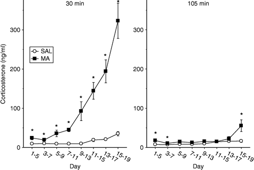 Figure 2 Plasma concentrations of corticosterone following a single administration of 10 mg/kg of MA or SAL on the fifth day of administration following a dosing regimen of four administrations per day for the first four days. The animals were decapitated at 30 min (left panel) or 105 min (right panel) after the administration of MA. The levels of corticosterone were dependent on the treatment the animals received, the age that they received treatment, and the time the corticosterone levels were examined. * p < 0.05 for MA vs. SAL.