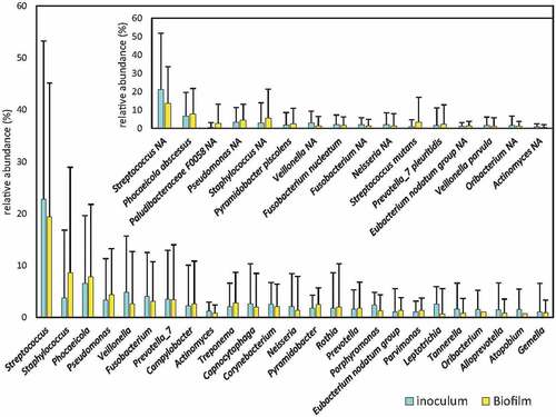 Figure 3. Bacterial composition of root canal infections. Graphs show the mean proportion and SE (standard error) of the most abundant genera in the samples (those at >1% levels) from inside the root canal (inoculum) and the derived biofilms grown ex vivo. Inlet graph shows the proportion of the 15 most abundant bacterial species in the samples. * (p < 0.05).