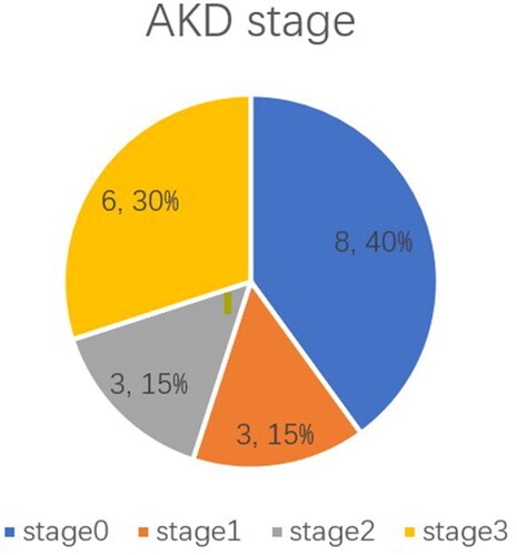 Figure 2. AKI patients undergoing CRS-HIPEC progression to AKD and the stage of AKD.