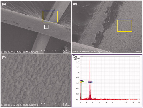 Figure 2. SEM image of the fiber surface on the silver containing garment: (A) low (1000×) magnification illustrating overall appearance of fibers (white square indicates location of EDX spectra collection); (B) increased (5000×) magnification (area inside yellow rectangle in panel A) illustrating rough appearance of coating on fiber surfaces; (C) increased (50 000×) magnification (area inside yellow rectangle in panel B) illustrating roughness is due to presence of nanoparticles coating fibers; and (D) SEM-EDX spectra from SEM image A (white square) demonstrating that the nanoparticles coating the fibers are composed of silver (purple tags = silver, green tag = oxygen, orange tag = carbon).