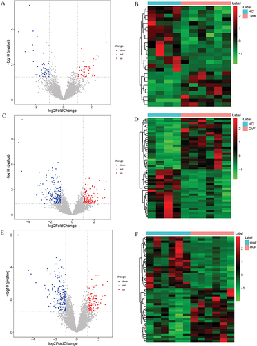 Figure 2 The volcano map (left) and heat map (right) of DElncRNAs. (A and B): Volcano map (left) and heat map (right) of DElncRNAs in the OWF vs HC group; (C and D): Volcano map (left) and heat map (right) of DElncRNAs in the OVF vs HC group; (E and F): Volcano map (left) and heat map (right) of DElncRNAs in the OVF vs OWF group. HC, OWF and OVF represent the healthy control, osteoporosis patients without vertebral fracture and osteoporosis patients combined with vertebral fracture, respectively.