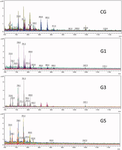 Figure 1. MALDI-MS spectra in the positive ion mode for blastocysts co-cultured with MLVs (G1, G3, and G5) or without MLVs (control; CG).