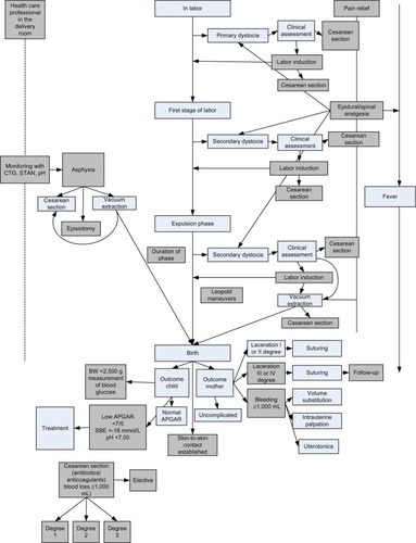 Figure 1 Schematic, standardized course of birth.