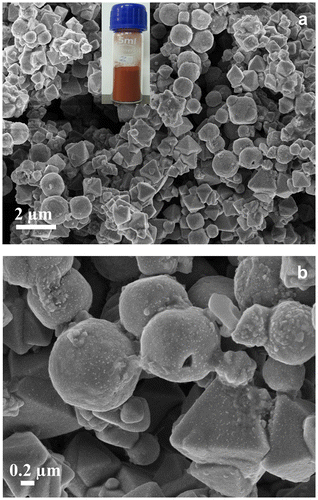 Figure 2. Low (a) and high (b) magnification FESEM micrographs of Cu2O particles. The inset is a digital photograph of the Cu2O powder.