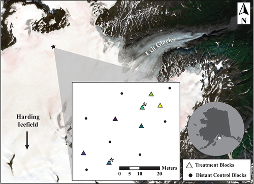 Figure 2. Experimental location (black star at 60.171° N, 149.756° W) on Exit Glacier of Harding Icefield (white star on inset map of Alaska) and map of sample locations (square inset). Base map is true color Sentinel-2 scene captured on July 28, 2022. Note red hue of the snowpack at the experimental site. Triangles on inset map locate experimental blocks with colors matching block colors in Figures 4 and 5. Experimental barriers to vertical algal movement were installed on September 9, 2022 at centers of experimental blocks. Asterisks on inset map indicate blocks without RECCO reflectors. Circles on inset map locate distant control blocks.