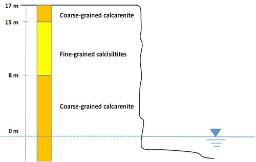 Figure 5. Schematic lithological profile of the study area (modified from Perrotti et al. Citation2020)
