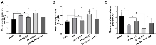 Figure 7 Measurement of pulmonary ventilation function in rats. (A–C) The mean airway pressure, peak airway pressure and mean dynamic compliance were used to evaluate pulmonary ventilation function. Data are presented as mean ± SEM, n = 6 per group. *P < 0.05 vs sham group, #P < 0.05 vs I/R group, &P < 0.05 vs I/R group, ^P < 0.05 vs I/R + SR-717 group.