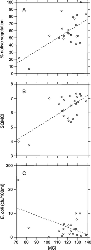 Figure 3  Relationship between macroinvertebrate community index (MCI) and A, percentage native vegetation in the catchment, B, semi-quantitative macroinvertebrate community index (SQMCI) and C, E. coli. Dotted line shows line of best fit.