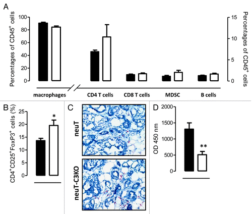 Figure 4. Autochthonous mammary tumors from neuT-C3−/− mice have a more immunosuppressive microenvironment as compared to that of neuT mice. (A and B) Lymphocyte infiltrates in neuT and neuT-C3−/− tumors were analyzed by flow cytometry. Mammary tumors from neuT (n = 6; black bars) and neuT-C3−/− (n = 7; white bars) mice were dissociated and tumor cells were stained for the assessment of CD45, CD11b, F4/80, CD3, CD4, CD8, Gr-1, and B220 (A) or CD3, CD25, CD4, and FoxP3 (B) expression. (A) CD45+ leukocytes were gated and various immune cell subsets were identified as follows: macrophages: CD11b+F4/80+; CD4+ T cells; CD3+CD4+; CD8+ T cells: CD3+CD8+; B cells: B220+CD11b-. CD45+CD11b+ leukocytes were gated and myeloid-derived suppressor cells (MDSCs) were identified as GR-1+ cells within that subset. (B) CD3+ leukocytes were gated and regulatory T cells (Tregs) were identified as CD4+CD25+FoxP3+. Bars represent the percentage of positive cells ± SEM. 4 independent experiments were performed and a single representative image is shown. (C) Immunohistochemical staining of neuT and neuT-C3−/− mammary tumors for FoxP3 expression, showing a prominent increase in FoxP3+ cells in the tumor stroma. Results are representative of 8 of each neuT and neuT-C3−/− tumors analyzed. (D) Sera from 15–17 weeks-old neuT (n = 13; black bar) and neuT-C3−/− (n = 12; white bar) mice were tested for C5a levels by ELISA. 3 independent experiments were performed and a single representative example is shown. Results are expressed as mean ± SEM of the optical density (OD). *P = 0.02; **P = 0.002, 2-tailed Student t-test.