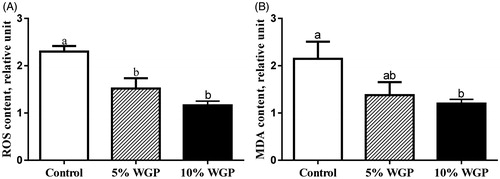 Figure 1. Reactive oxygen species (ROS) and malondialdehyde (MDA) concentration in jejunum epithelium of ram lambs fed with the control (□), 5% WGP (Display full size) and 10% Wine grape pomace (WGP) diet (■). (A) ROS content in jejunum epithelium was reduced in both 5% and 10% WGP supplementation groups. (B) MDA content was decreased when lambs were fed with 10% WGP (mean ± SEM; n = 6). WGP: wine grape pomace