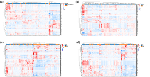 Figure 3. Radiomic feature selection. (a) Heat maps of unsupervised clustering analysis for intratumoral and 0–5 mm peritumoral radiomic features with 81.3% PP clustered together in cluster 1. (b) Heat maps of unsupervised clustering analysis for 5–15 mm peritumoral radiomic features of the PP group. (c) Heat maps of unsupervised clustering analysis for intratumoral and 0–5 mm peritumoral radiomic features with 65.9% HPD clustered together in cluster 2. (d) Heat maps of unsupervised clustering analysis for 5–15 mm peritumoral radiomic features of the HPD group.