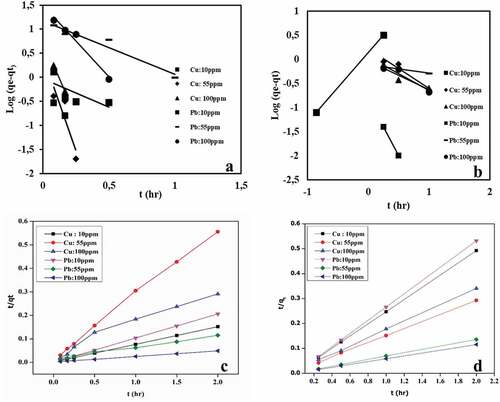 Figure 6. Kinetic model plots of Pb(II) and Cu(II) at different initial concentrations; (a) pseudo-first order single, (b) pseudo-first order binary, (c) pseudo-second order single, (d) pseudo-second order binary