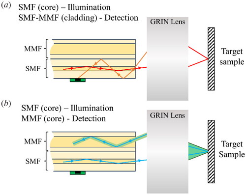 Figure 1. (a) Optical principle of multichannel detection using a mixed-mode fibre cantilever: (a) cladding detection mode, (b) multimode core detection mode.