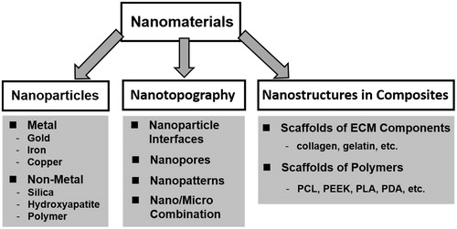 Figure 1. Classification of nanomaterials for nano-bio effect studies in this review.
