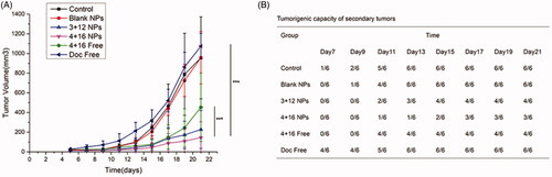 Figure 6. Tumor rechallenge assay and growth curves of secondary tumors. (A) Tumor volumes; (B) Tumorigenic capacity of secondary tumors.