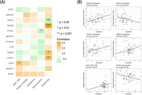 Figure 7. Drug sensitivity analysis of prognostic model genes in TCGA-LAML cohort. (A) The correlation analysis between the expression of 13 risk model genes and the drug activity of 5 drugs based on the Pearson correlation coefficient. (B) The scatter plot of the statistically significant correlation analysis. *p < 0.05, **p < 0.01, ***p < 0.001.