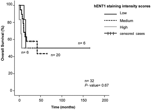 Figure 4. Kaplan-Meier curves of pediatric AML patients with low (black), medium (dashed) and high (gray) hENT1 immunocytochemistry staining intensities. All patients received induction chemotherapy containing an anthracycline (idarubicin or daunorubicin) in combination with ara-C and etoposide.