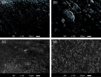 Figure 1. SEM images of the cross-sections of synthetic BWs. (a) BWAD, (b) BW45, (c) BW10, and (d) BW55.