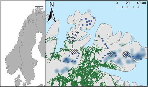 Figure 1. Map of eastern Finnmark showing the baited camera stations on the Varanger Peninsula (dots), the Nordkinn Peninsula (squares and stars for outer and inner Nordkinn Peninsula, respectively) and Laksefjordvidda (triangles). Small rodent trapping plots are denoted with white squares. The locations of three areas where breeding of avian predators in summer and snow tracks of mammals in winter were surveyed are shown as hatched areas. The distribution of Arctic fox dens is shown as grey shadings by means of density kernels (created using a quadratic kernel function in ArcGIS 10.2.2. Sub-Arctic forest is shown as dark green areas.