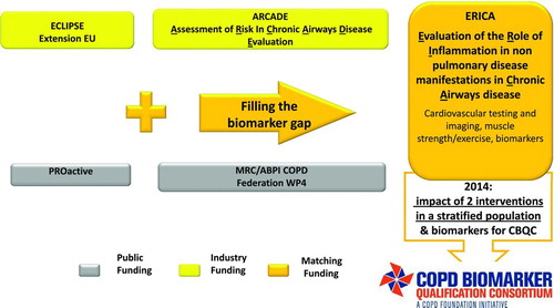 Figure 1.  Clinical and Observational studies contributing data towards the COPD Biomarker Qualification Consortium (CBQC) and their sources of funding.