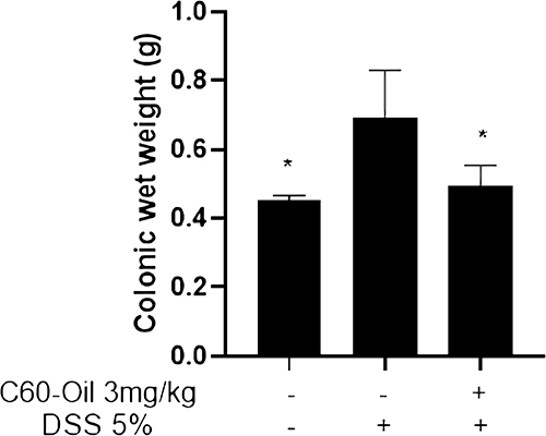 Figure 3 Wet weight of 5 cm of distal colon samples of Wistar rats of Control, DSS and C60 groups. Values are presented as the mean ± standard deviation.*p<0.05 compared with DSS group.